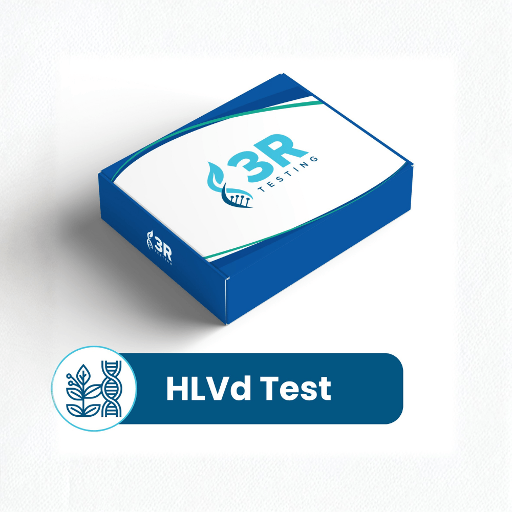 Hop Latent Viroid (HLVd) Test